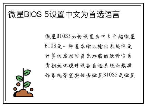 微星BIOS 5设置中文为首选语言